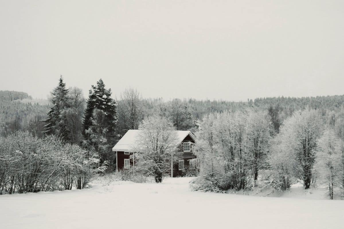 lägga tak på vintern